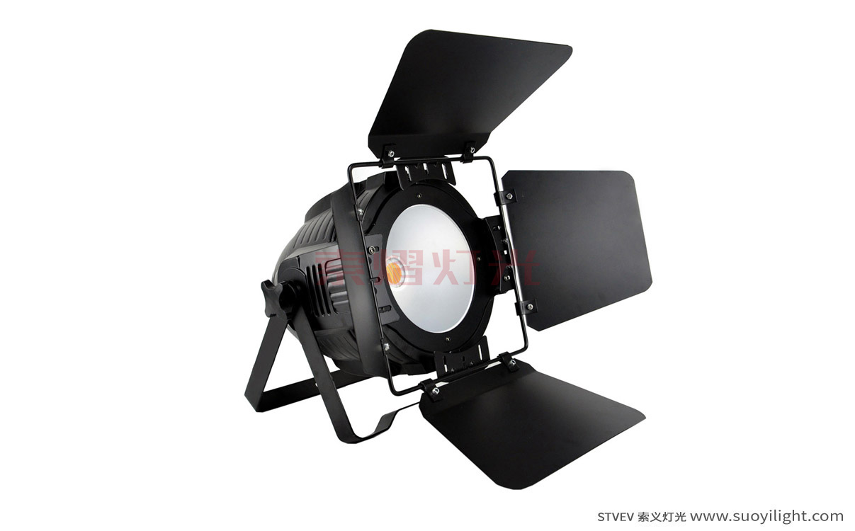 Mongolia200W COB LED Par Light