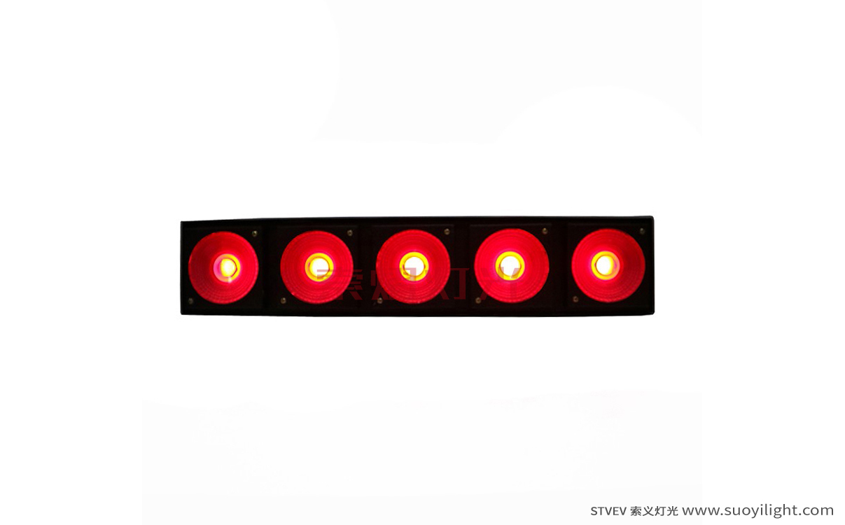 Mongolia LED 5 Head Matrix Light