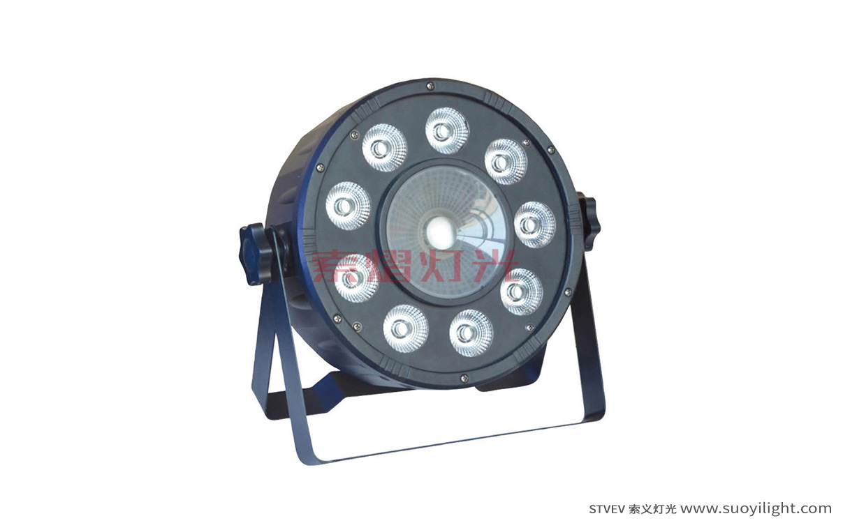 Mongolia9+1 LED Plastic Par Light