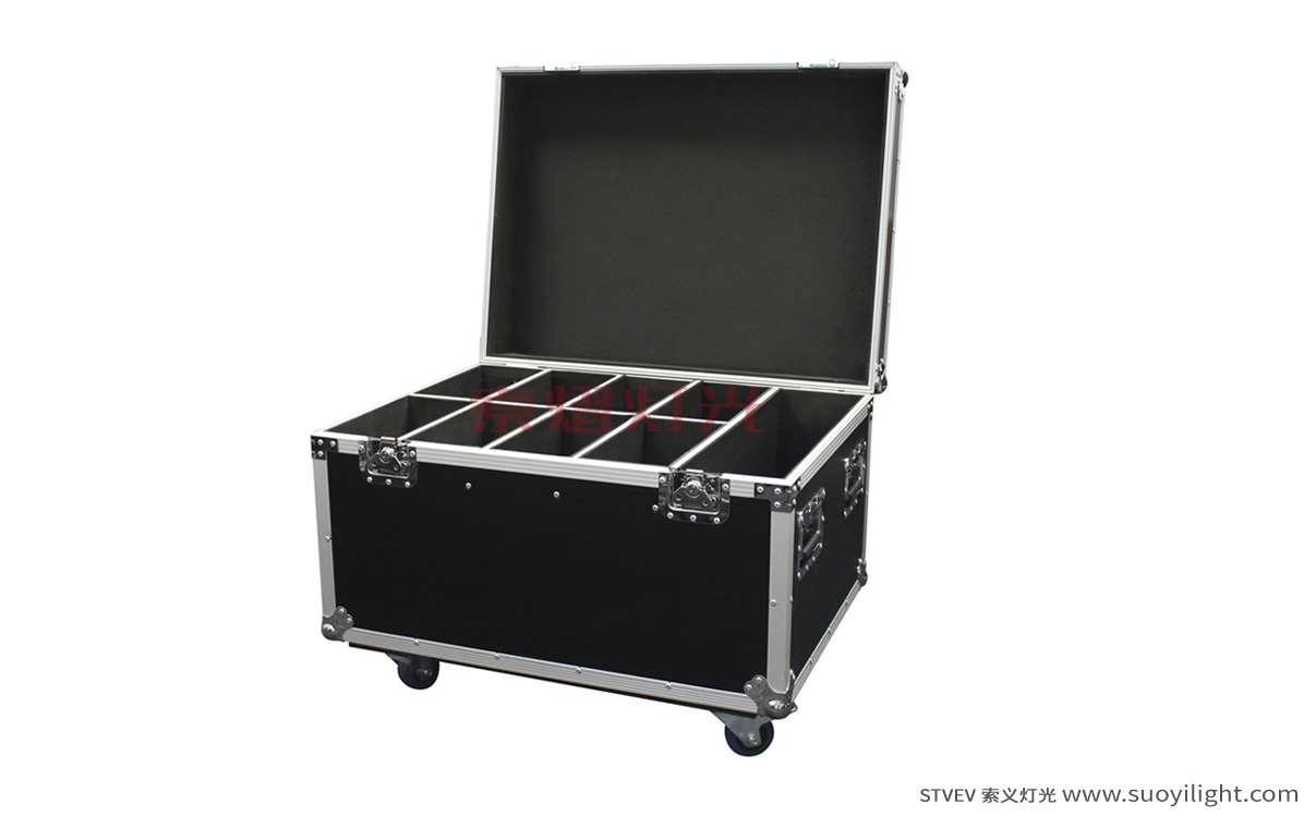 Mongolia8in1 Par Light Flight Case