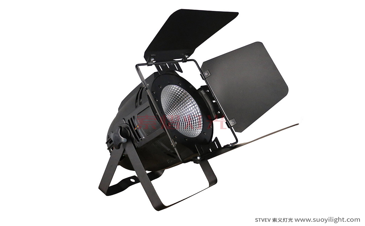 Mongolia100W LED COB Par Light