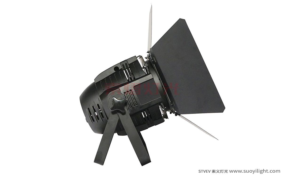 Mongolia100W LED COB Par Light