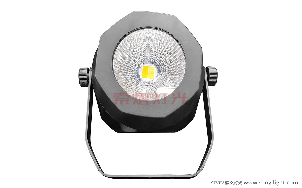 Mongolia200W Waterproof COB Par Light